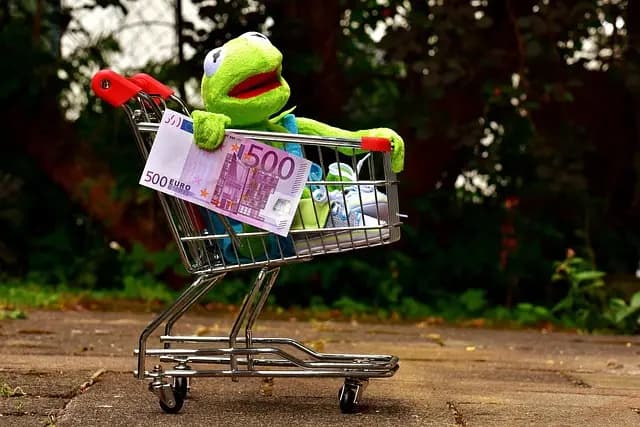 Erreurs courantes lors d'achats de luxe à éviter