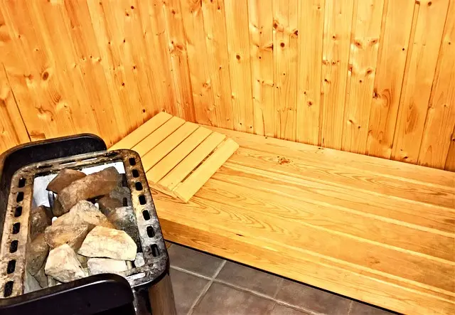 Guide d'achat Bains et Saunas : Traditions Nordiques